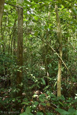 vn_september_15_00012